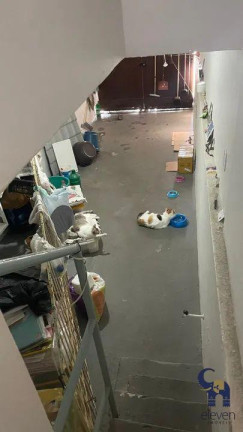 Imagem Casa com 3 Quartos à Venda, 220 m² em Acupe - Salvador Imagem Casa com 3 Quartos à Venda, 220 m² em Acupe - Salvador