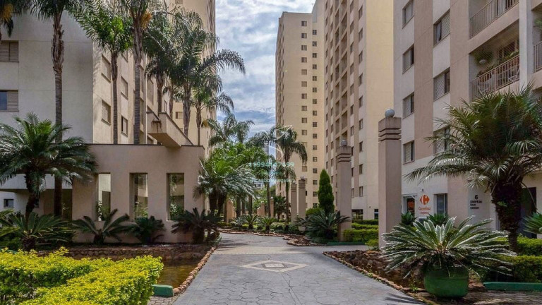 Imagem Apartamento com 3 Quartos à Venda, 65 m² em Jardim Vazani - São Paulo Imagem Apartamento com 3 Quartos à Venda, 65 m² em Jardim Vazani - São Paulo