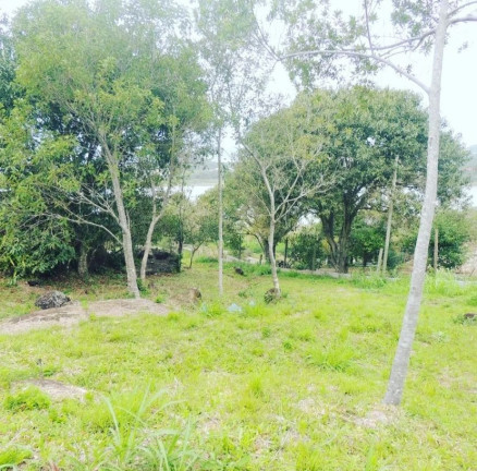 Imagem Terreno à Venda, 2.000 m² em Macacu - Garopaba Imagem Terreno à Venda, 2.000 m² em Macacu - Garopaba