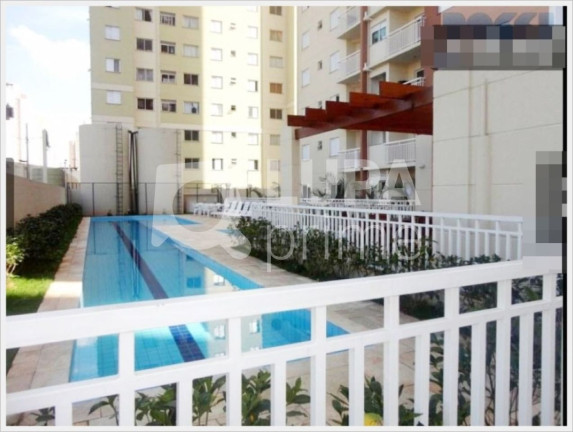Imagem Apartamento com 3 Quartos à Venda, 65 m² em Brás - São Paulo Imagem Apartamento com 3 Quartos à Venda, 65 m² em Brás - São Paulo