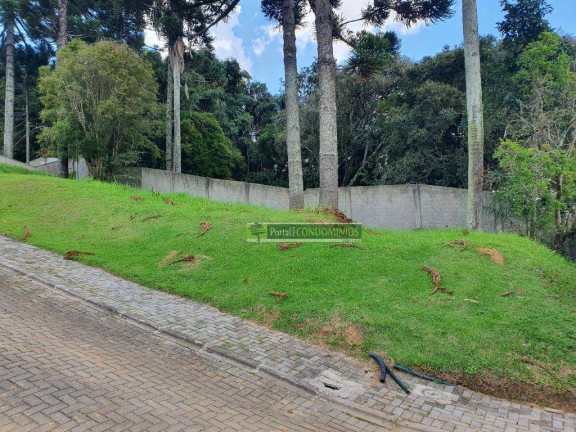 Imagem Terreno à Venda, 607 m² em Campo Comprido - Curitiba Imagem Terreno à Venda, 607 m² em Campo Comprido - Curitiba