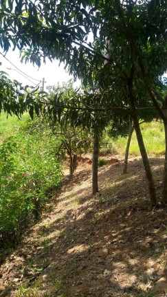 Imagem Terreno à Venda, 2.000 m² em Chácaras Campo Limpo - Campo Limpo Paulista Imagem Terreno à Venda, 2.000 m² em Chácaras Campo Limpo - Campo Limpo Paulista