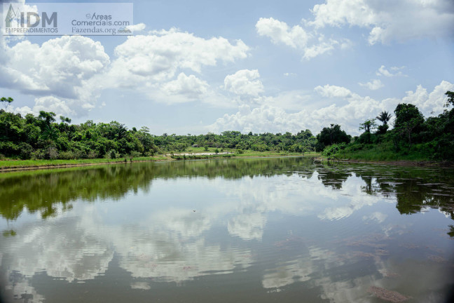 Imagem Chácara à Venda, 862.000 m² em Centro - Manaus Imagem Chácara à Venda, 862.000 m² em Centro - Manaus