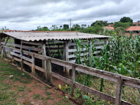 Imagem Imóvel com 1 Quarto à Venda, 216 m² em Campo Grande - Itapetininga Imagem Imóvel com 1 Quarto à Venda, 216 m² em Campo Grande - Itapetininga