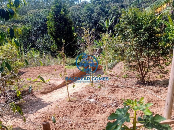 Imagem Imóvel com 1 Quarto à Venda, 1.137 m² em Cocuera - Mogi Das Cruzes
