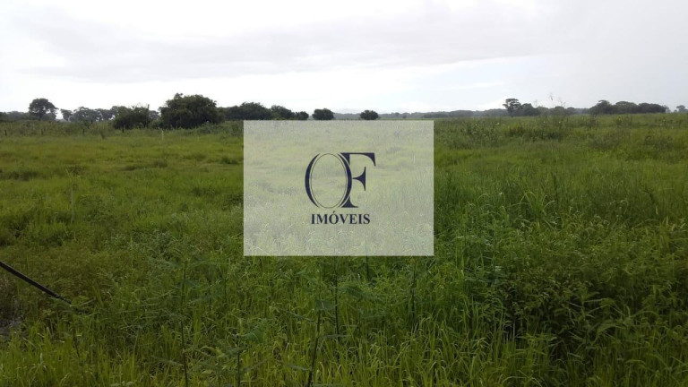 Imagem Fazenda à Venda, 24.000 m² em Pantanal - Corumbá Imagem Fazenda à Venda, 24.000 m² em Pantanal - Corumbá