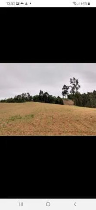 Imagem Imóvel à Venda, 181.500 m² em São João Do Caiva - Lapa Imagem Imóvel à Venda, 181.500 m² em São João Do Caiva - Lapa