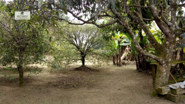 Imagem Chácara com 2 Quartos à Venda, 1.100 m² em São Roque