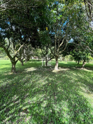 Imagem Chácara com 4 Quartos à Venda, 25.000 m² em Cachoeira - Santa Branca Imagem Chácara com 4 Quartos à Venda, 25.000 m² em Cachoeira - Santa Branca