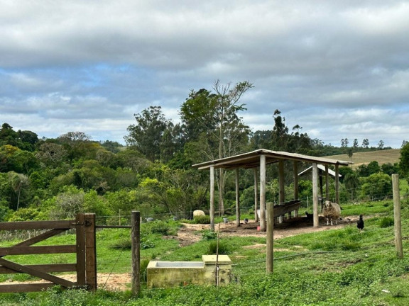 Imagem Imóvel com 5 Quartos à Venda, 18.150 m² em Vira Copos - Itapetininga Imagem Imóvel com 5 Quartos à Venda, 18.150 m² em Vira Copos - Itapetininga