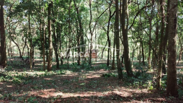 Imagem Fazenda à Venda, 35.000 m² em Floresta - Monte Santo De Minas Imagem Fazenda à Venda, 35.000 m² em Floresta - Monte Santo De Minas