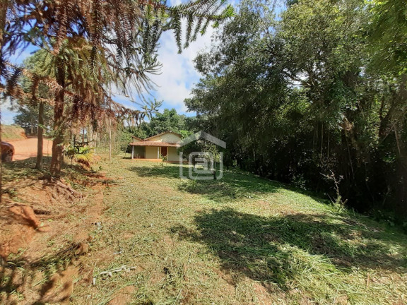 Imagem Imóvel com 2 Quartos à Venda, 7.000 m² em Pião (rural) - Campestre