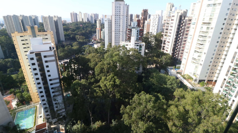 Imagem Apartamento com 4 Quartos à Venda, 226 m² em Vila Suzana - São Paulo