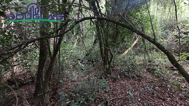 Imagem Chácara à Venda, 20.000 m² em águas Claras - Viamão Imagem Chácara à Venda, 20.000 m² em águas Claras - Viamão
