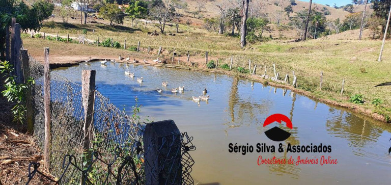 Imagem Chácara com 2 Quartos à Venda, 10 m² em Campos Do Jordão