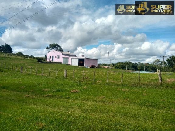Imagem Imóvel com 8 Quartos à Venda, 60.000 m² em Centro - Canguçu