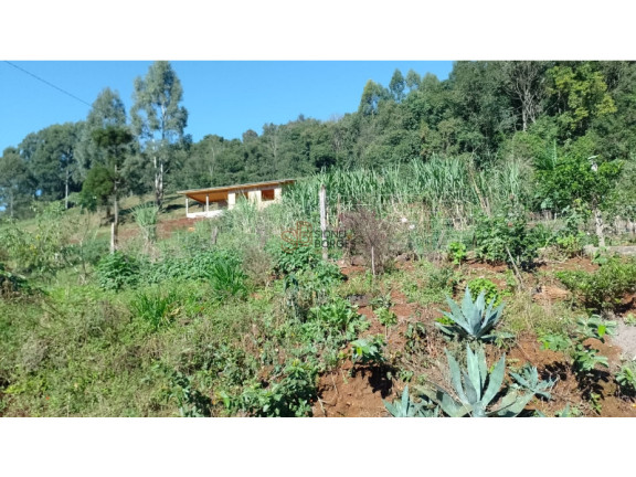 Imagem Imóvel à Venda, em Interior - Concórdia - Concórdia Imagem Imóvel à Venda, em Interior - Concórdia - Concórdia