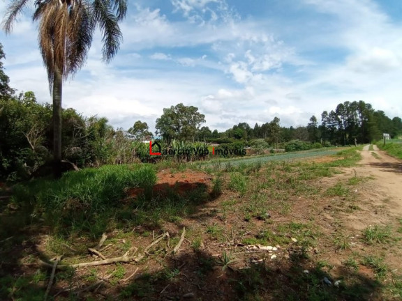 Imagem Imóvel com 2 Quartos à Venda, 133.100 m² em Ibiúna - Ibiúna