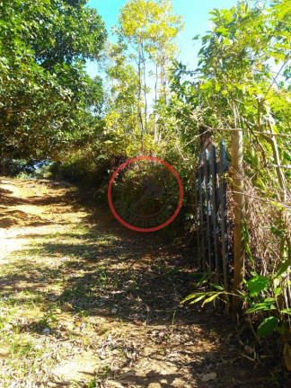 Imagem Terreno à Venda, 800 m² em Bonete - Ilhabela Imagem Terreno à Venda, 800 m² em Bonete - Ilhabela