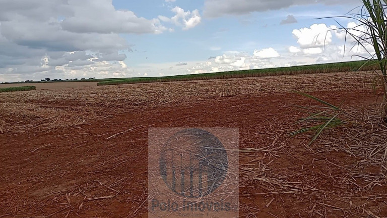 Imagem Imóvel com 8 Quartos à Venda, 773 m² em Serra Azul - Serra Azul Imagem Imóvel com 8 Quartos à Venda, 773 m² em Serra Azul - Serra Azul