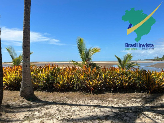 Imagem Casa com 3 Quartos à Venda, 4.500 m² em Santo Antonio - Santa Cruz Cabrália