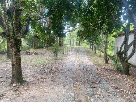 Imagem Chácara com 3 Quartos à Venda, 120 m² em Moqueta - Santa Branca Imagem Chácara com 3 Quartos à Venda, 120 m² em Moqueta - Santa Branca