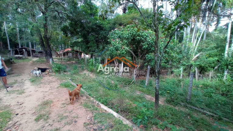 Imagem Imóvel com 3 Quartos à Venda, 25.000 m² em Jardim Primavera - Mogi Mirim Imagem Imóvel com 3 Quartos à Venda, 25.000 m² em Jardim Primavera - Mogi Mirim