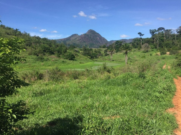 Imagem Imóvel com 2 Quartos à Venda, 113 m² em área Rural De Colatina - Colatina