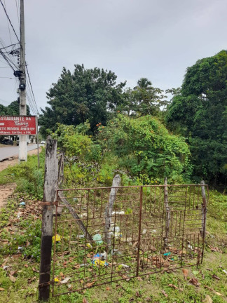 Imagem Terreno à Venda, 4.550 m² em Cabeceiras - Tibau Do Sul Imagem Terreno à Venda, 4.550 m² em Cabeceiras - Tibau Do Sul
