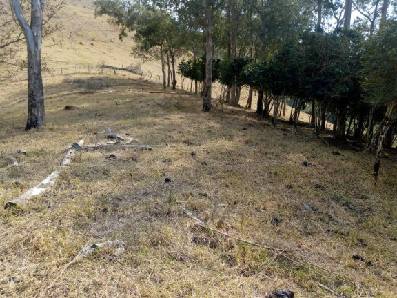 Imagem Chácara com 3 Quartos à Venda, 532 m² em Zona Rural - Cambuí