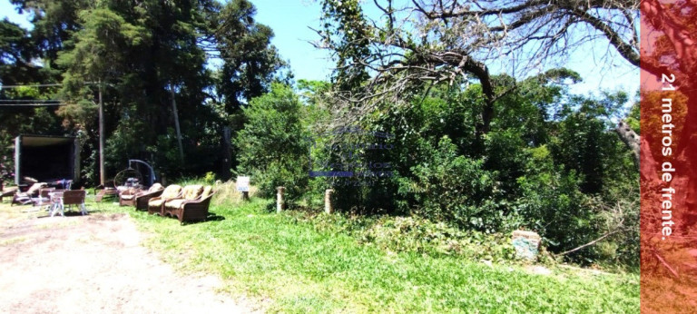 Imagem Terreno à Venda, 3.150 m² em Ipanema - Porto Alegre Imagem Terreno à Venda, 3.150 m² em Ipanema - Porto Alegre