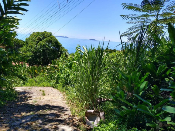Imagem Terreno à Venda, 237 m² em Felix - Ubatuba