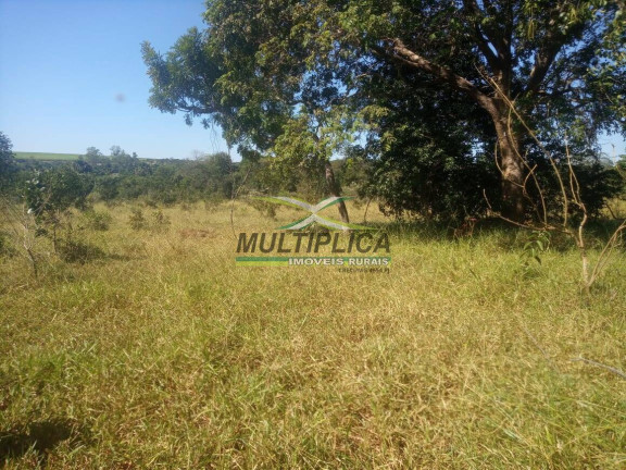 Imagem Fazenda à Venda, 135 m² em Prata Imagem Fazenda à Venda, 135 m² em Prata