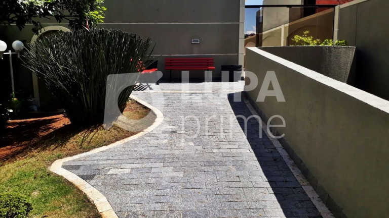 Imagem Casa com 2 Quartos à Venda, 160 m² em Vila Gustavo - São Paulo Imagem Casa com 2 Quartos à Venda, 160 m² em Vila Gustavo - São Paulo