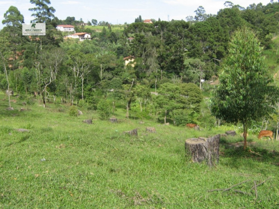 Imagem Chácara à Venda, 11.280 m² em Alto Da Serra - São Roque Imagem Chácara à Venda, 11.280 m² em Alto Da Serra - São Roque