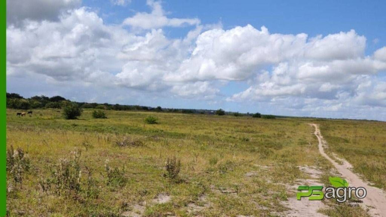 Imagem Sala Comercial à Venda, 2.500.000 m² em Barra De Cunhaú - Canguaretama Imagem Sala Comercial à Venda, 2.500.000 m² em Barra De Cunhaú - Canguaretama