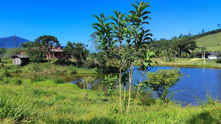 Imagem Terreno à Venda, em Rio Duna - Imaruí Imagem Terreno à Venda, em Rio Duna - Imaruí