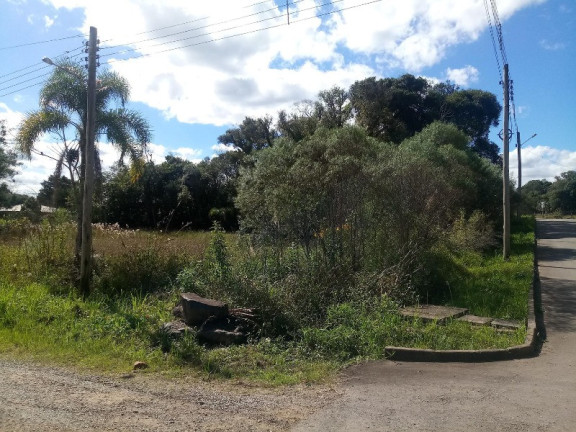 Terreno à Venda, 450 m² em Fazenda Pirajá - Nova Petrópolis