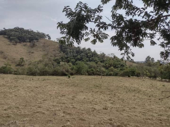 Imagem Chácara à Venda, 25.000 m² em Monte Belo - Taubaté Imagem Chácara à Venda, 25.000 m² em Monte Belo - Taubaté