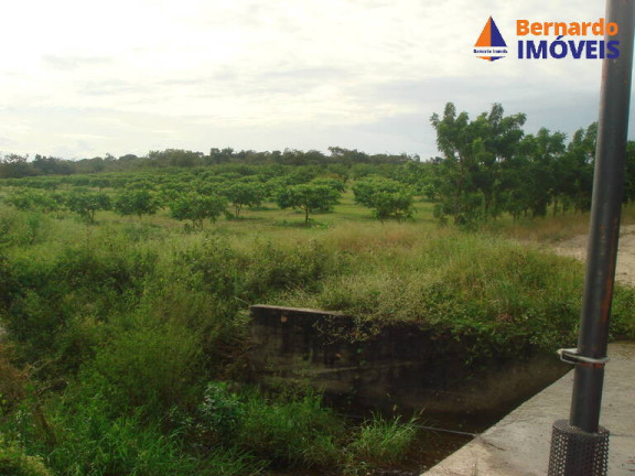 Imagem Fazenda à Venda, 443 m² em Guanaces - Cascavel Imagem Fazenda à Venda, 443 m² em Guanaces - Cascavel