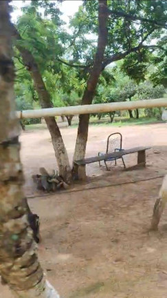 Imagem Imóvel com 5 Quartos à Venda, 10 m² em área Rural De Luziânia - Luziânia Imagem Imóvel com 5 Quartos à Venda, 10 m² em área Rural De Luziânia - Luziânia