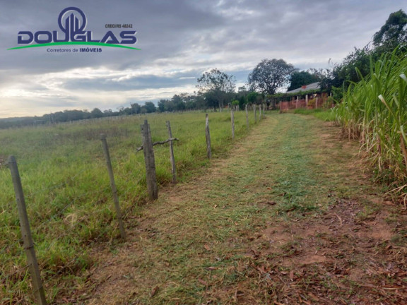 Imagem Chácara à Venda, 20.000 m² em Viamão Imagem Chácara à Venda, 20.000 m² em Viamão