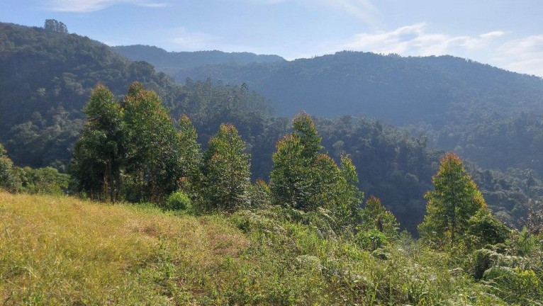 Imagem Terreno à Venda, 198.000 m² em Zona Rural - Presidente Nereu Imagem Terreno à Venda, 198.000 m² em Zona Rural - Presidente Nereu