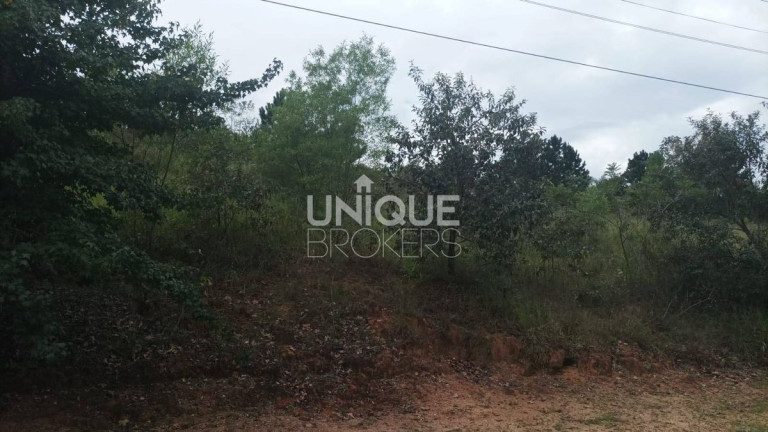 Imagem Terreno à Venda, 6.240 m² em Ivoturucaia - Jundiaí Imagem Terreno à Venda, 6.240 m² em Ivoturucaia - Jundiaí