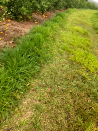 Imagem Chácara à Venda, 14 m² em Rural - águas De Santa Bárbara Imagem Chácara à Venda, 14 m² em Rural - águas De Santa Bárbara