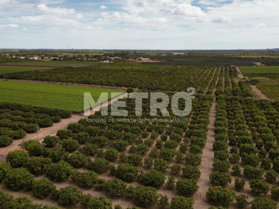 Imagem Fazenda à Venda, em área Rual - Petrolina Imagem Fazenda à Venda, em área Rual - Petrolina