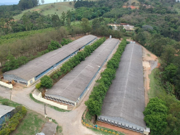 Imagem Imóvel à Venda, 6 m² em Boa Vista Dos Silva - Bragança Paulista Imagem Imóvel à Venda, 6 m² em Boa Vista Dos Silva - Bragança Paulista