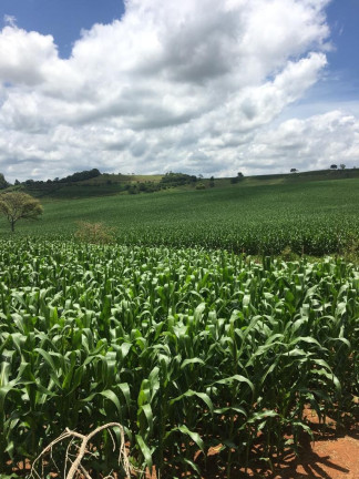 Imagem Imóvel à Venda, em Zona Rural - Turvolândia Imagem Imóvel à Venda, em Zona Rural - Turvolândia