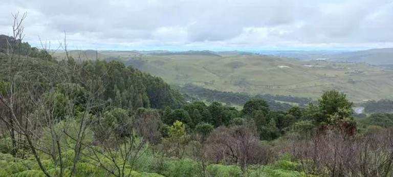 Imagem Imóvel à Venda, 35.000 m² em Vila Francioni - Sao Joaquim Imagem Imóvel à Venda, 35.000 m² em Vila Francioni - Sao Joaquim
