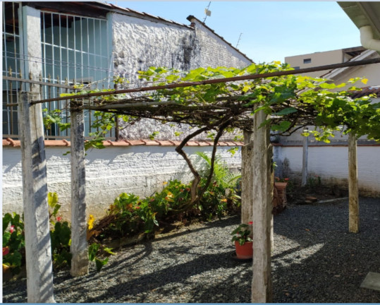 Imagem Casa com 3 Quartos à Venda, 185 m² em Bucarein - Joinville